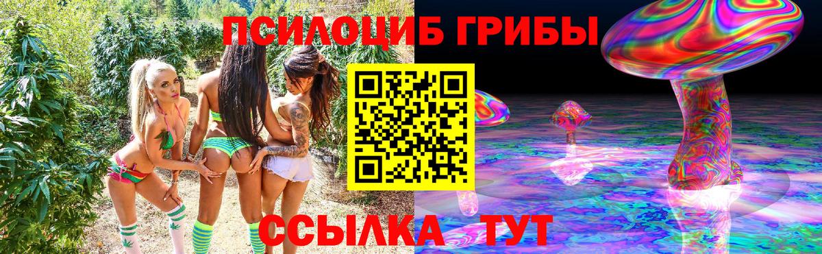 Галлюциногенные грибы Magic Shrooms Боровичи
