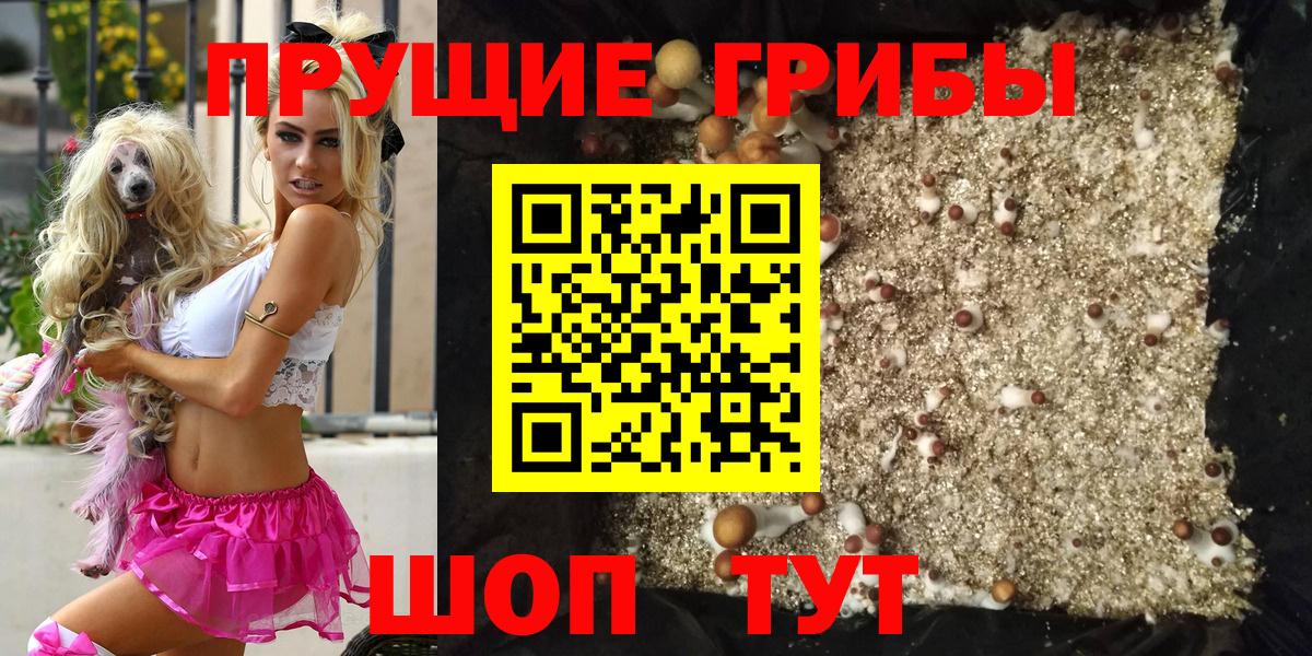 Псилоцибиновые грибы прущие грибы  Вход с VPN  Боровичи  Псилоцибиновые грибы ЛСД 
